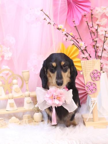 20250323おうたくん